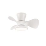Ventilador de techo
