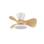 Ventilador de techo