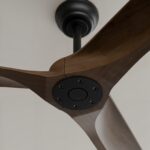 Ventilador de techo