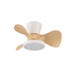 Ventilador de techo