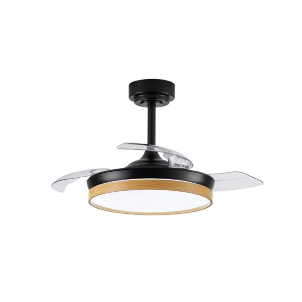 Ventilador de techo