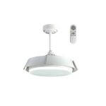 Ventilador de techo