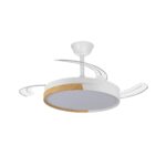 Ventilador LED