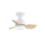 Ventilador de techo