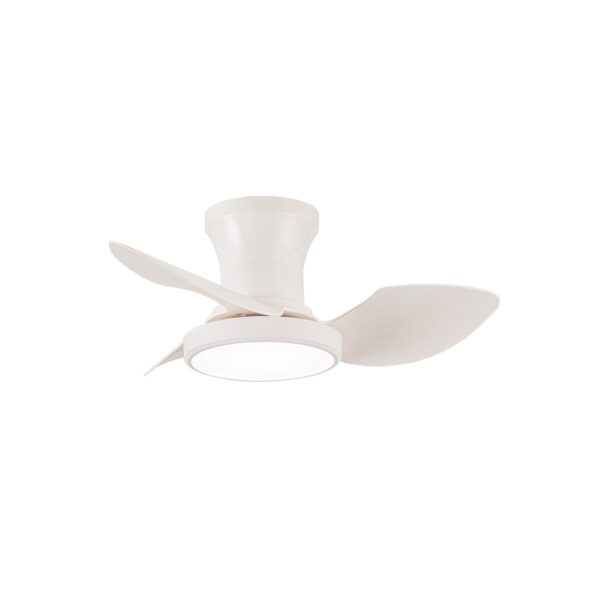 Ventilador de techo