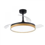 Ventilador de techo