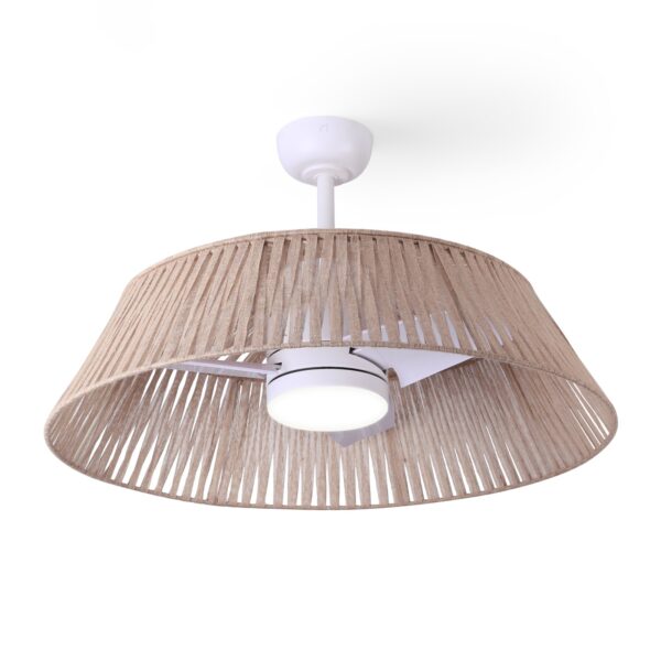 Ventilador de techo