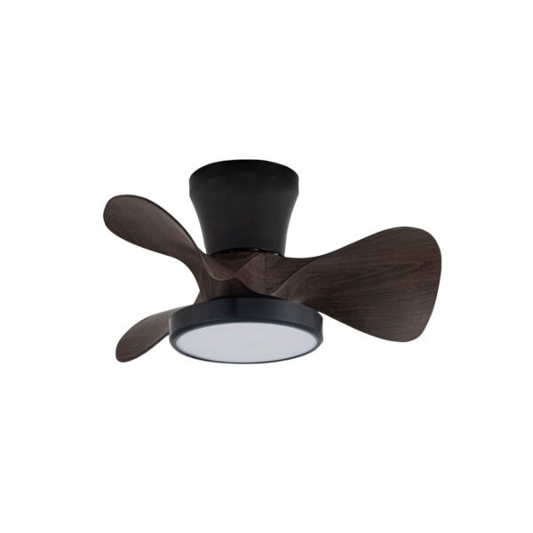 Ventilador de techo