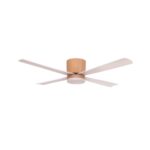 Ventilador de techo