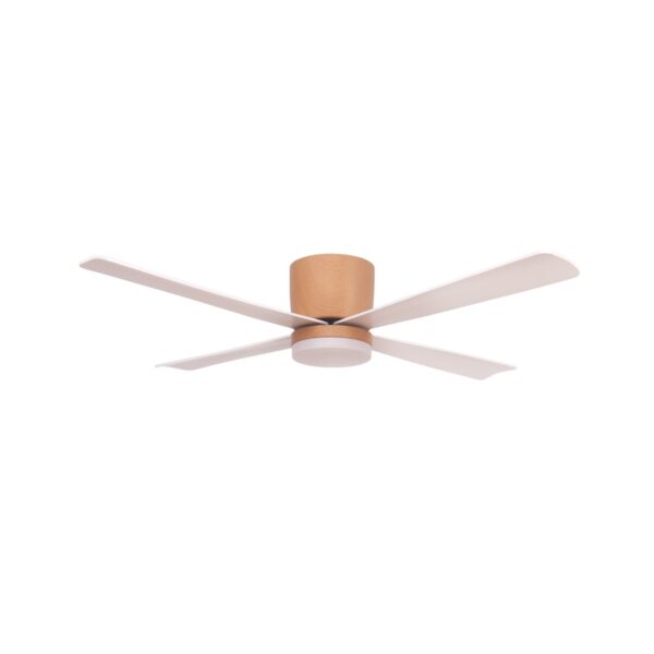 Ventilador de techo