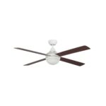 Ventilador de techo