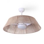 Ventilador de techo