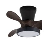 Ventilador de techo