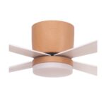 Ventilador de techo