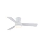 Ventilador de techo