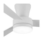 Ventilador de techo