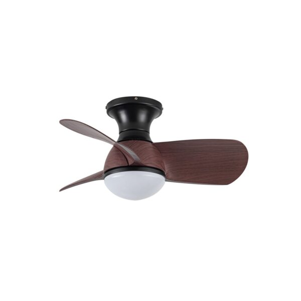 Ventilador de techo