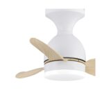 Ventilador de techo