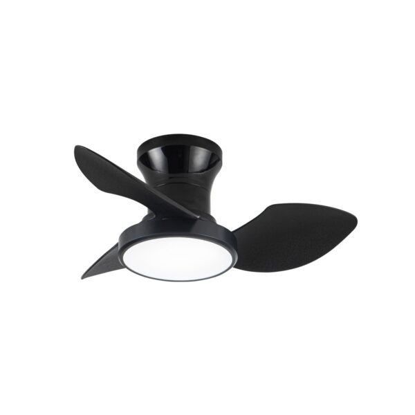 Ventilador de techo