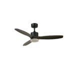 Ventilador de techo