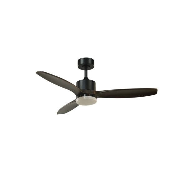 Ventilador de techo