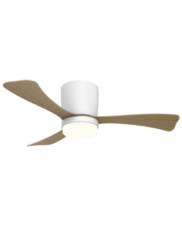 Ventilador de techo