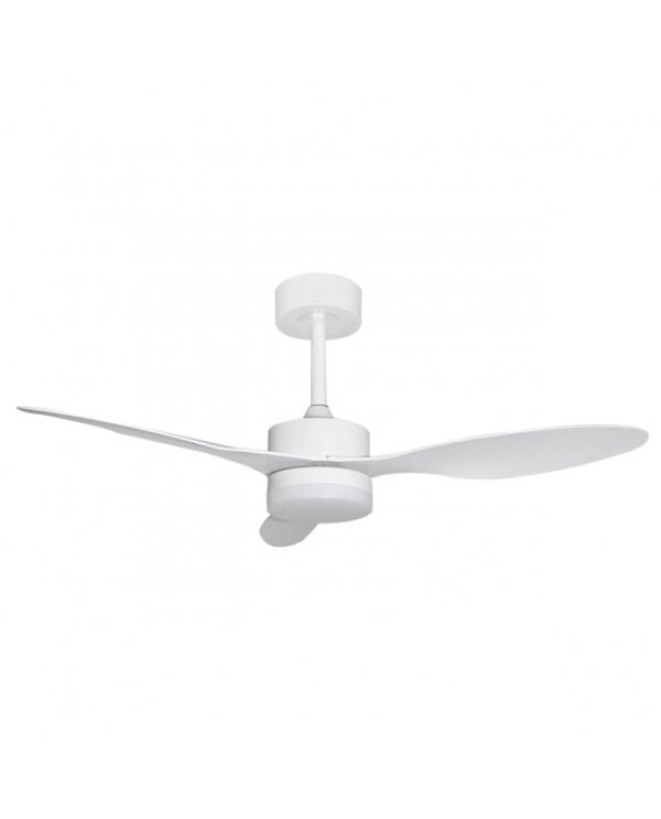 Ventilador de techo