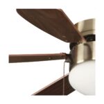Ventilador de techo