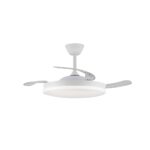 Ventilador de techo