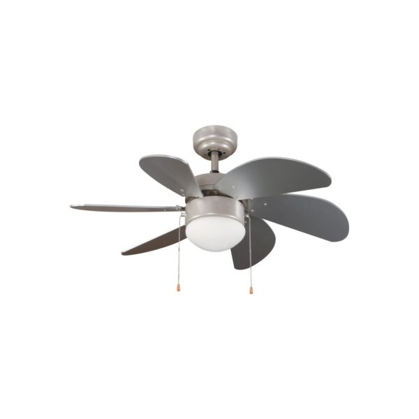 Ventilador de techo
