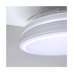 Ventilador de techo