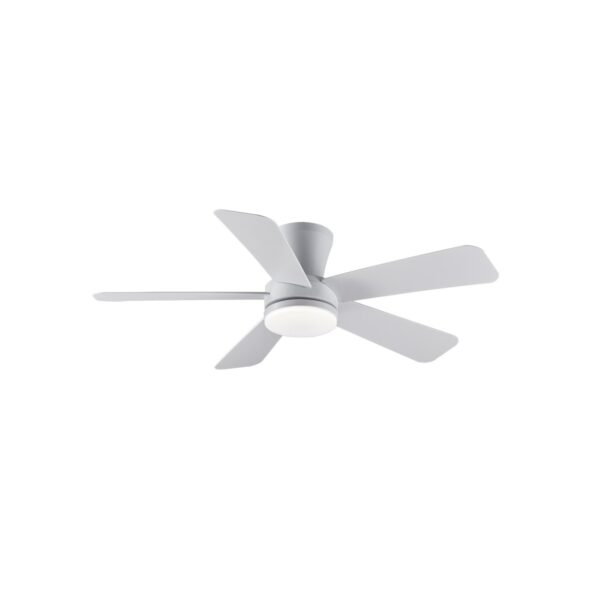 Ventilador de techo