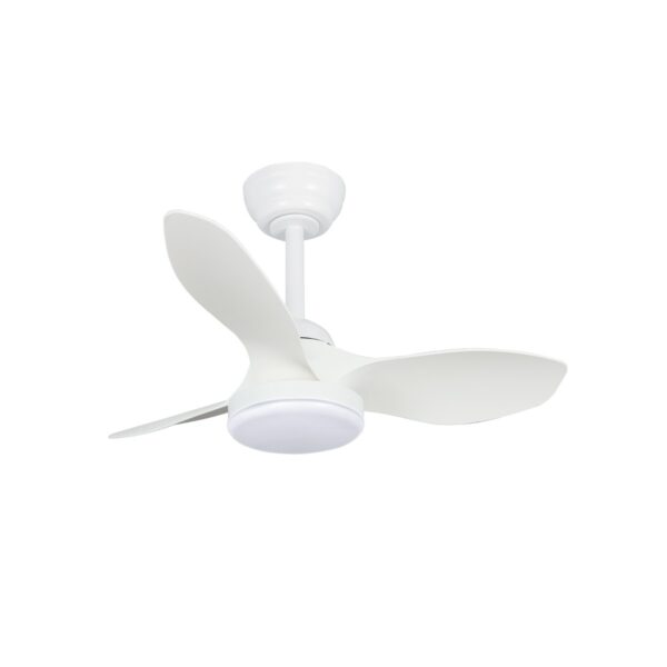 Ventilador de techo