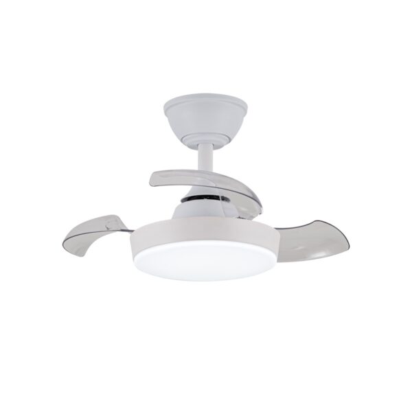 Ventilador de techo