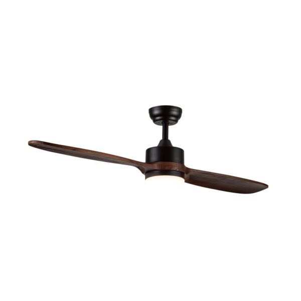 Ventilador de techo