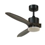 Ventilador de techo