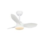 Ventilador de techo