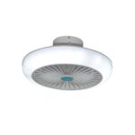 Ventilador de techo