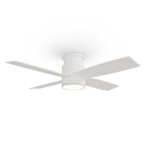 Ventilador de techo