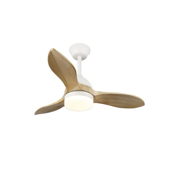 Ventilador de techo