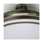 Ventilador de techo
