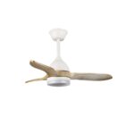 Ventilador de techo