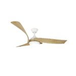 Ventilador de techo