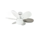 Ventilador de techo