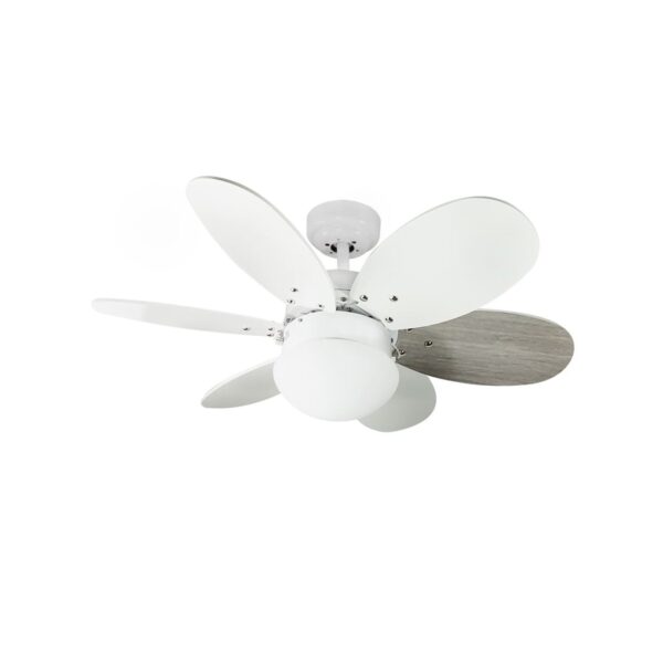Ventilador de techo
