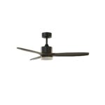 Ventilador de techo