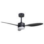 Ventilador de techo