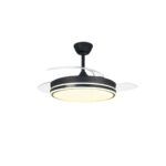 Ventilador de techo