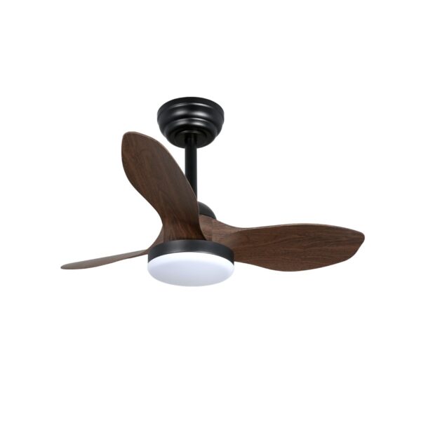 Ventilador de techo