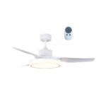Ventilador de techo